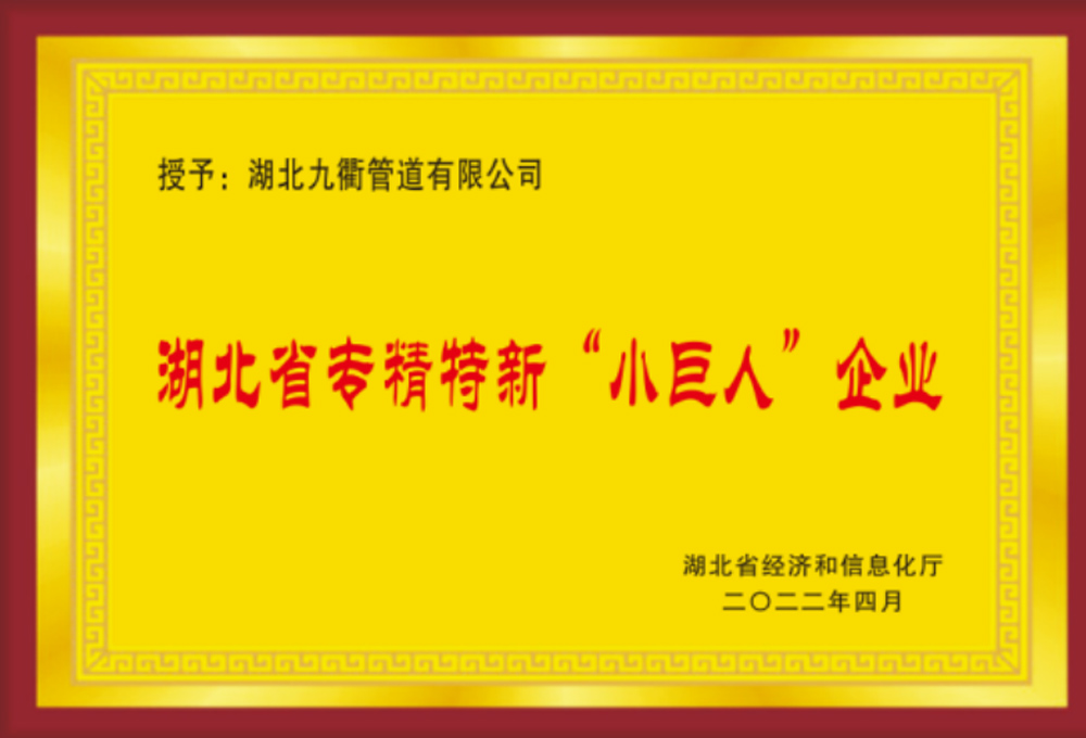 專精特新“小巨人”企業(yè)